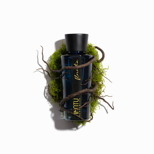 Diffusore Amatu Florentia su sfondo neutro con radici e muschio che lo avvolgono 