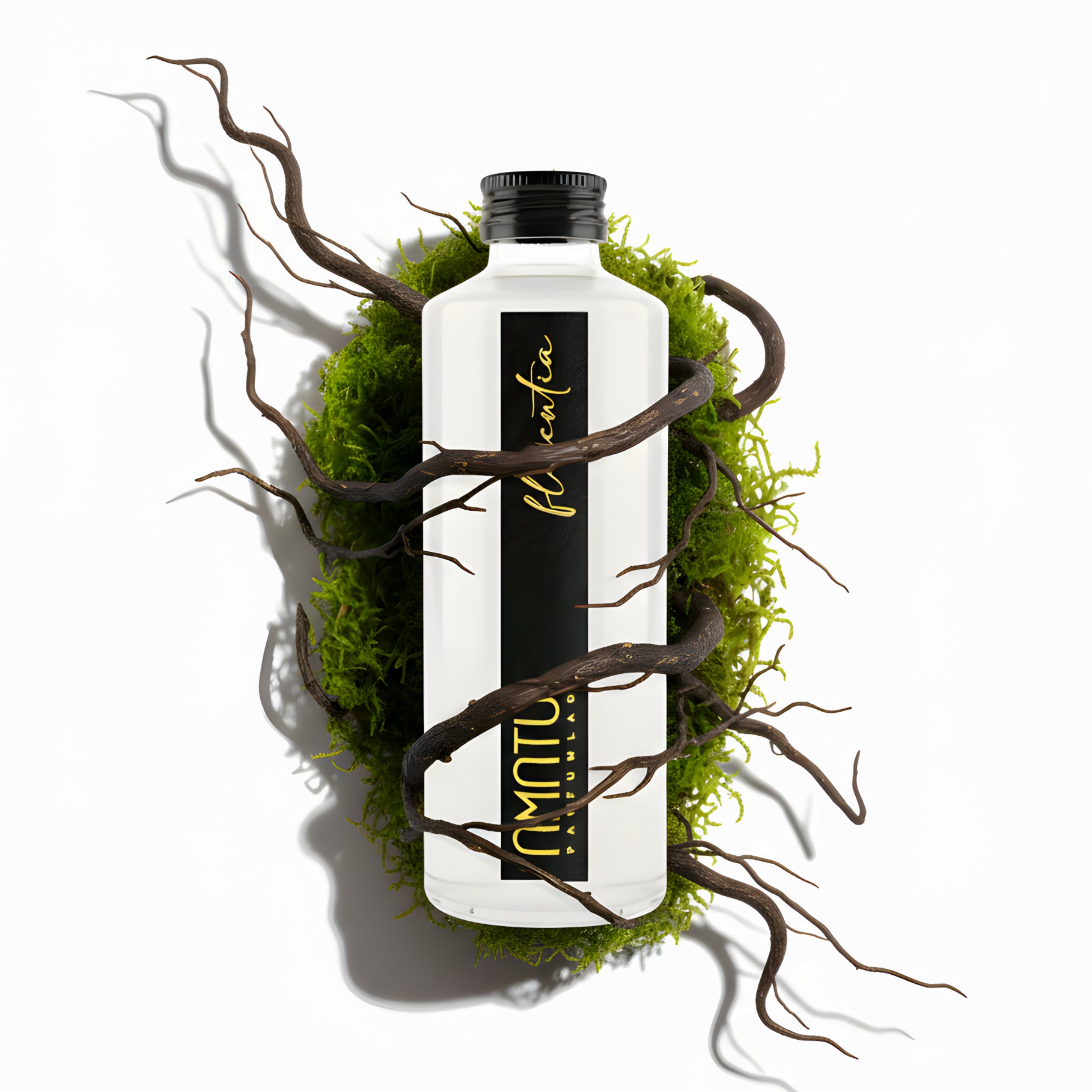 Florentia - Ricarica